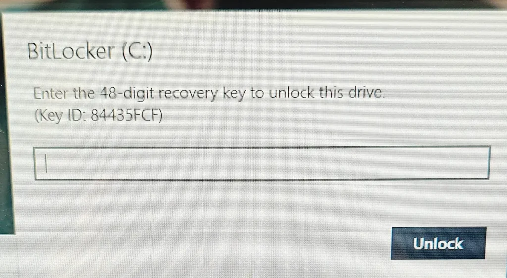 Unos BitLocker ključa od 48 cifara za otključavanje lokalnog diska